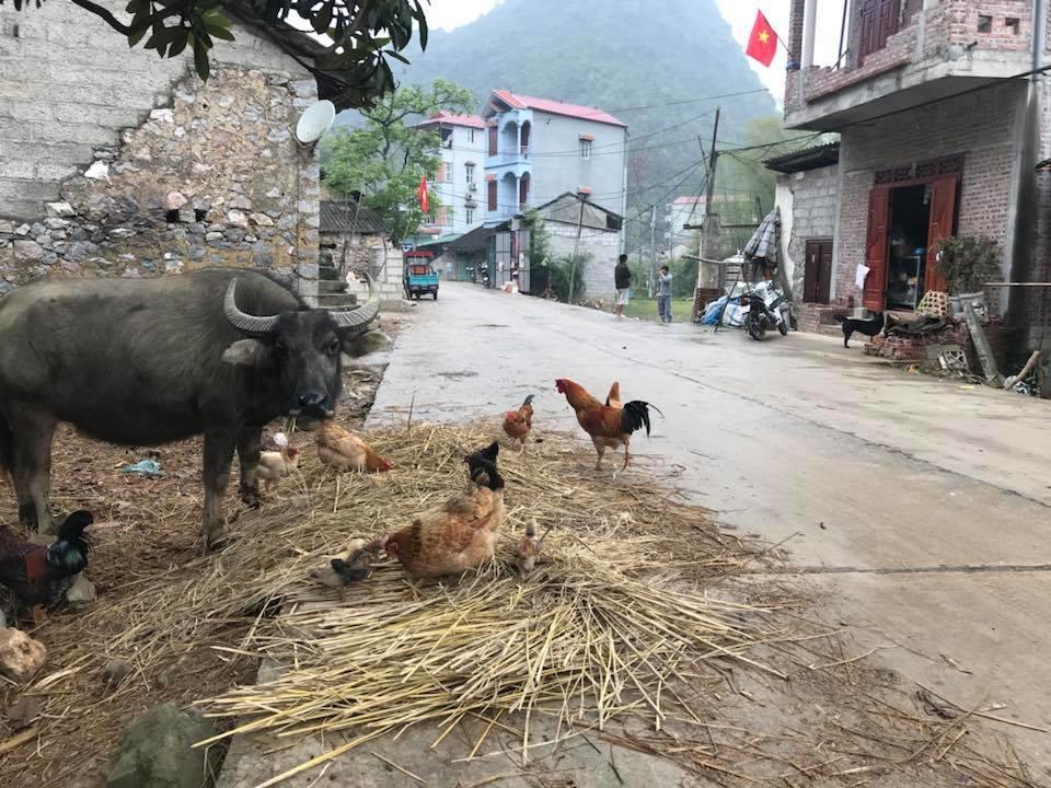 A Sy Ban Gioc Homestay - Lang Da Khuoi Ky Као Банг Екстериор снимка